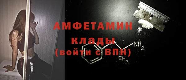 молекула духа Инсар