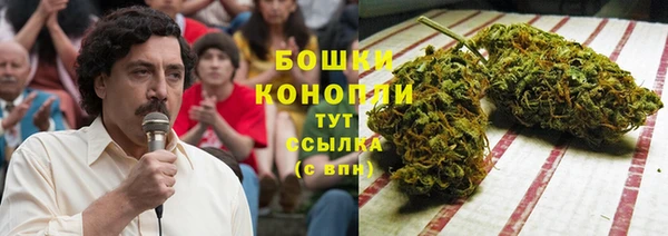 ALPHA-PVP Кинешма