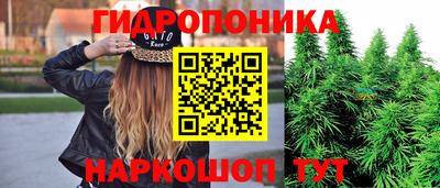 PSILOCYBIN Чебоксары