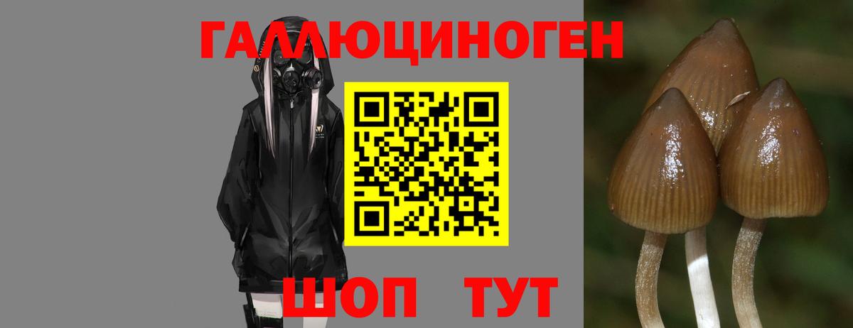 Североуральск  Псилоцибиновые грибы GOLDEN TEACHER  Вход с VPN 
