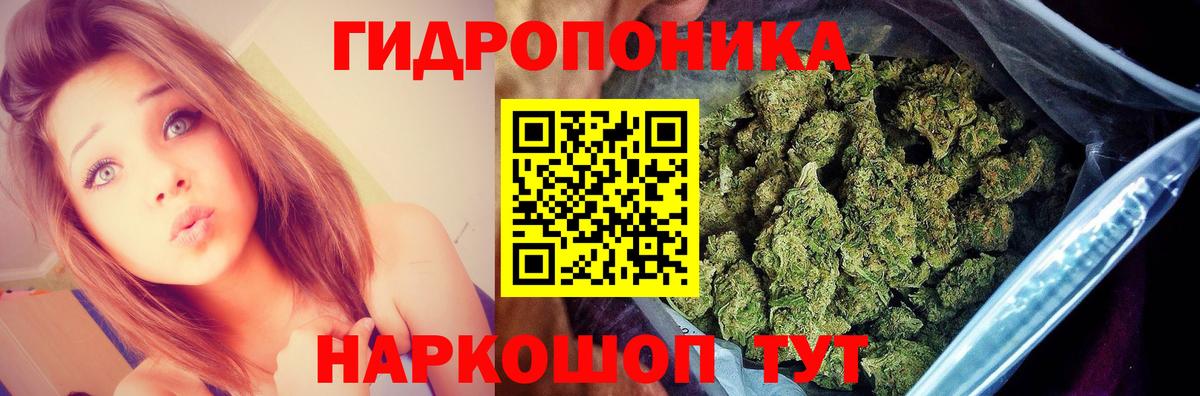 Конопля LSD WEED  Марихуана White Widow  Североуральск  Вход с VPN  Конопля LSD WEED 